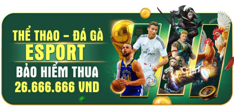 Bảo hiểm thua cực chất – Thể thao, đá gà, Esport